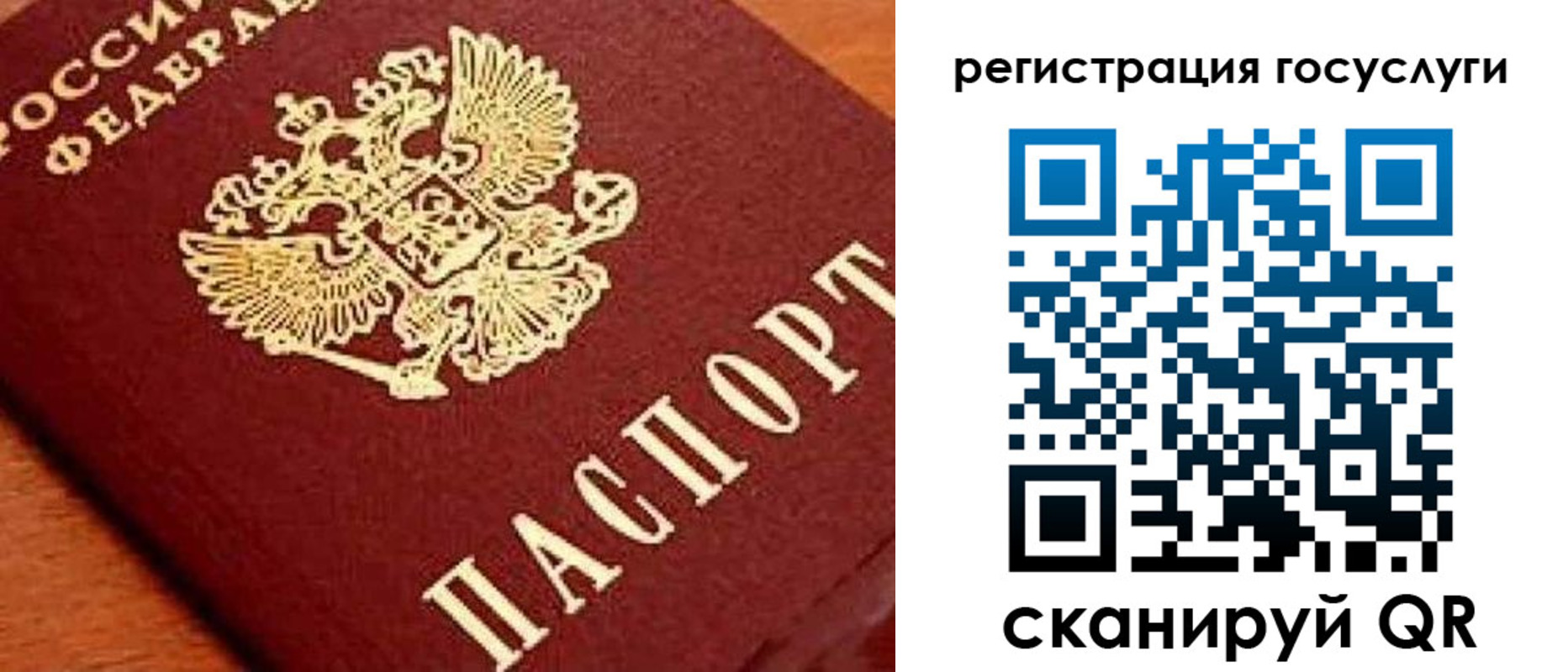 временная регистрация недорого в Александрове